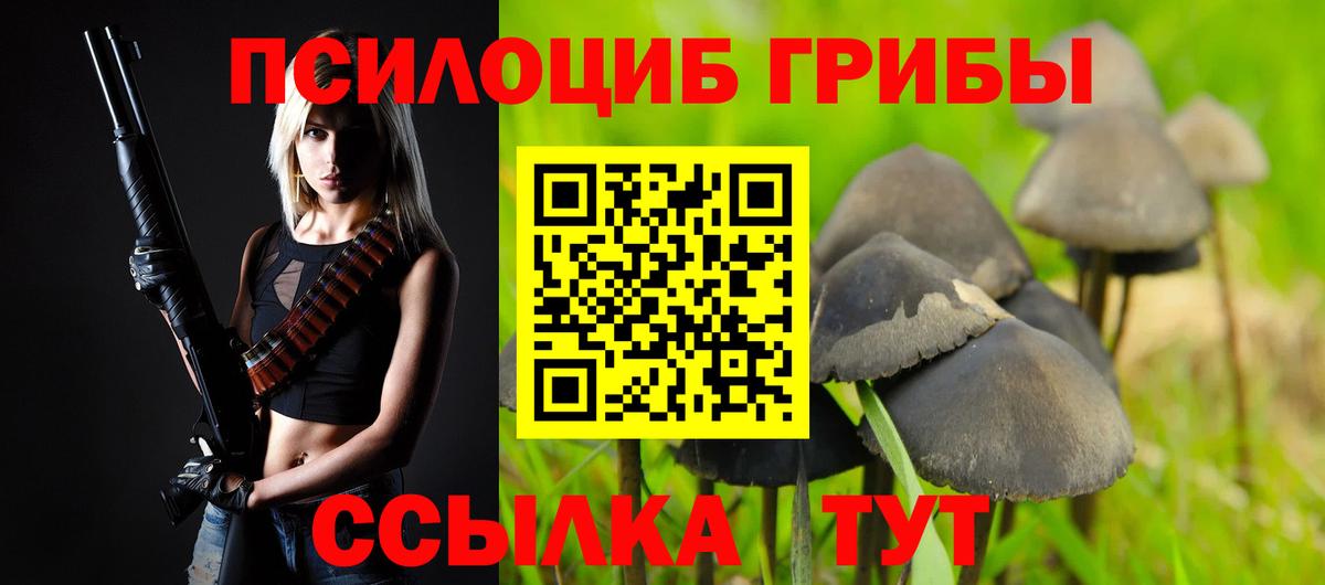 Псилоцибиновые грибы GOLDEN TEACHER Алейск